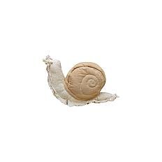 Pernă pentru copii Lazy Snail – Lorena Canals | Bonami