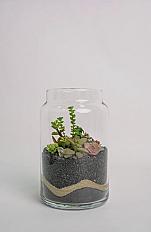 Terariu Suculente Cacti Negru