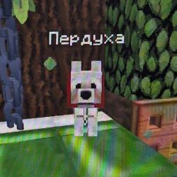User Avatar: @polina_ee71d8