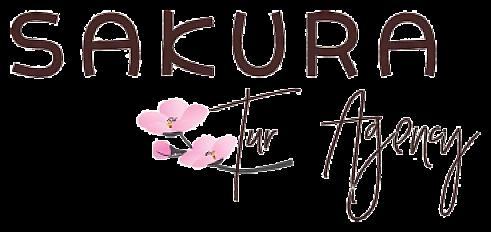 Поездка в Южную корею на 2 персоны